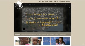 Shine On Sierra Leone website
